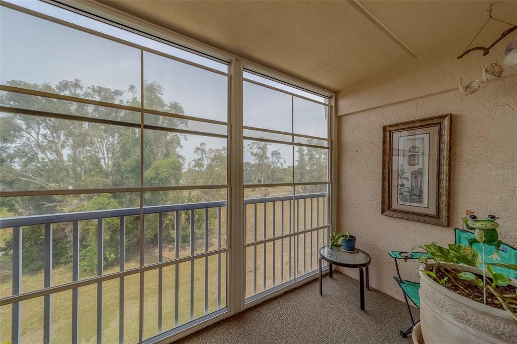 9510 Harbor Greens Way, Unit 407 Seminole, FL 33776 - Photo 26 of 41 a view of a porch with a potted plant