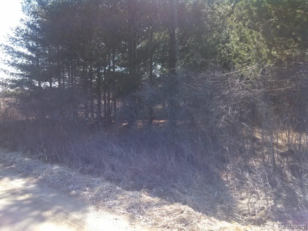 0 Miller Road Emmett, MI 48022 - Photo 3 of 4 View 3