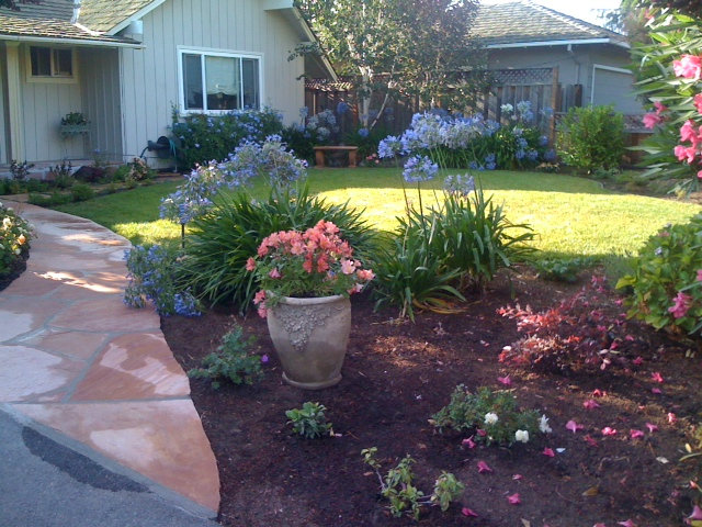 1635 Springer Road Mountain View, CA 94040 - Photo 8 of 8 a view of a garden with a flower garden