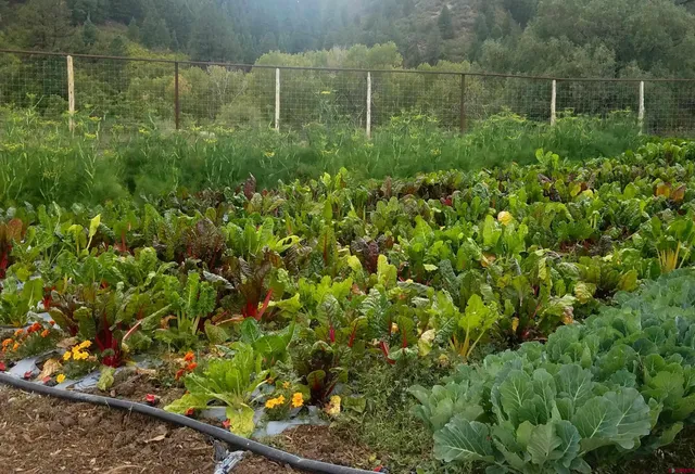 $2,498,500 | 893 Twin Buttes Avenue, Durango, CO 81301