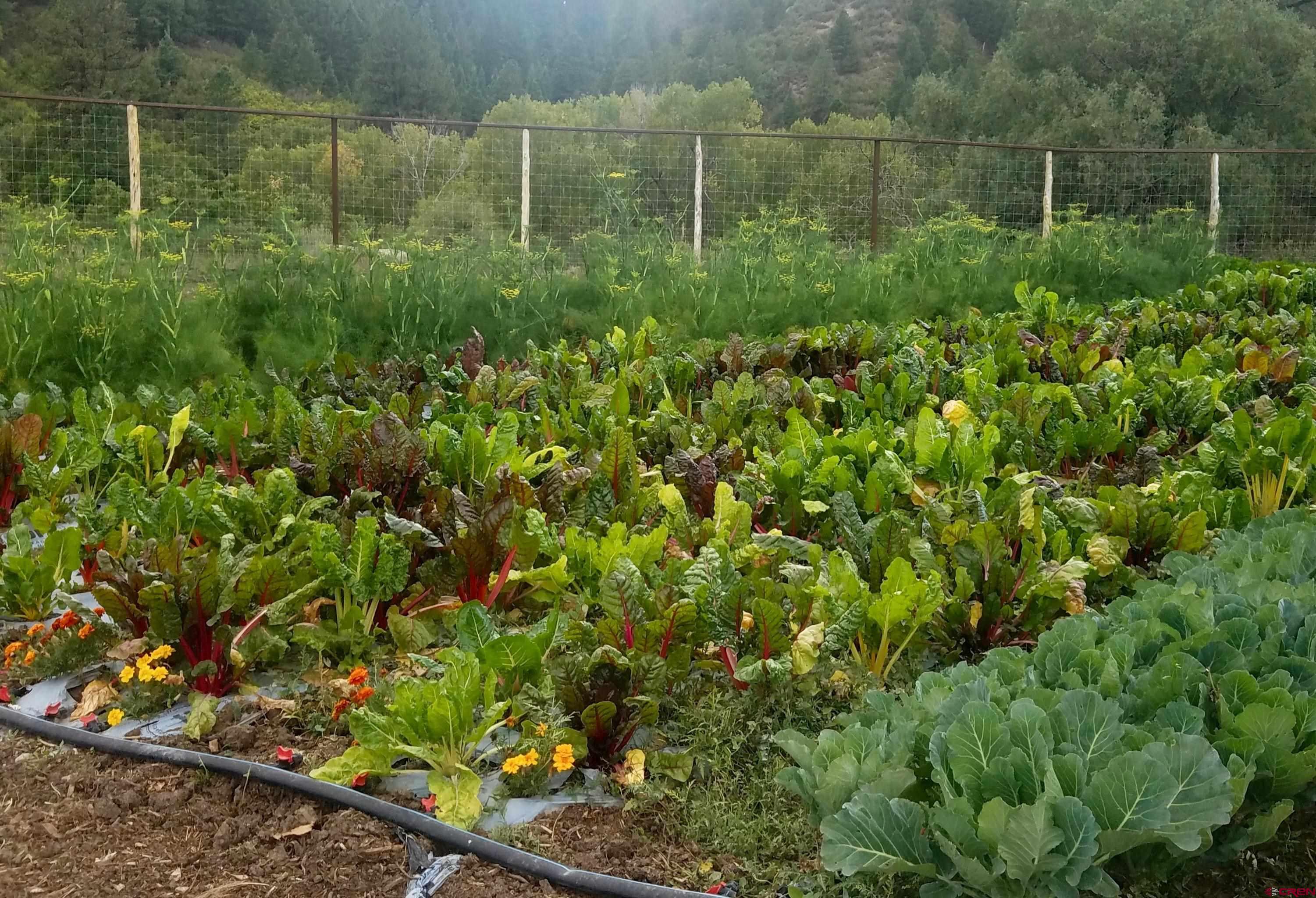 893 Twin Buttes Avenue Durango, CO 81301 - Photo 19 of 20 a view of a garden with a house