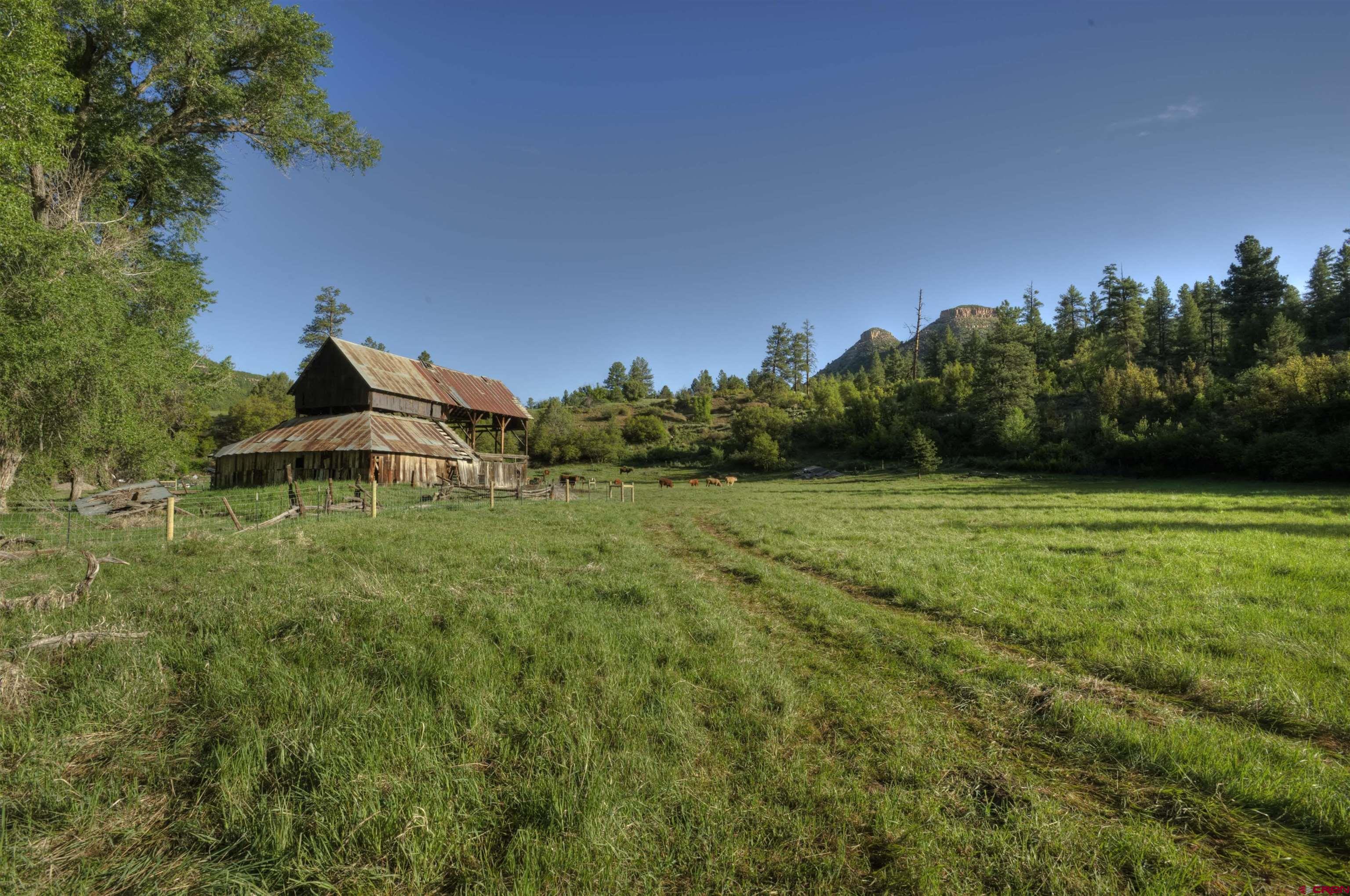 893 Twin Buttes Avenue Durango, CO 81301 - Photo 20 of 20 a view of a garden