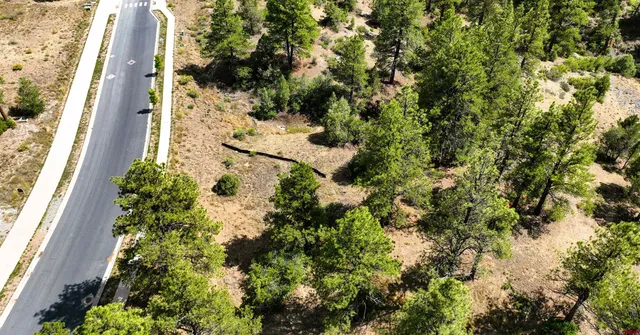a view of a yard with plants