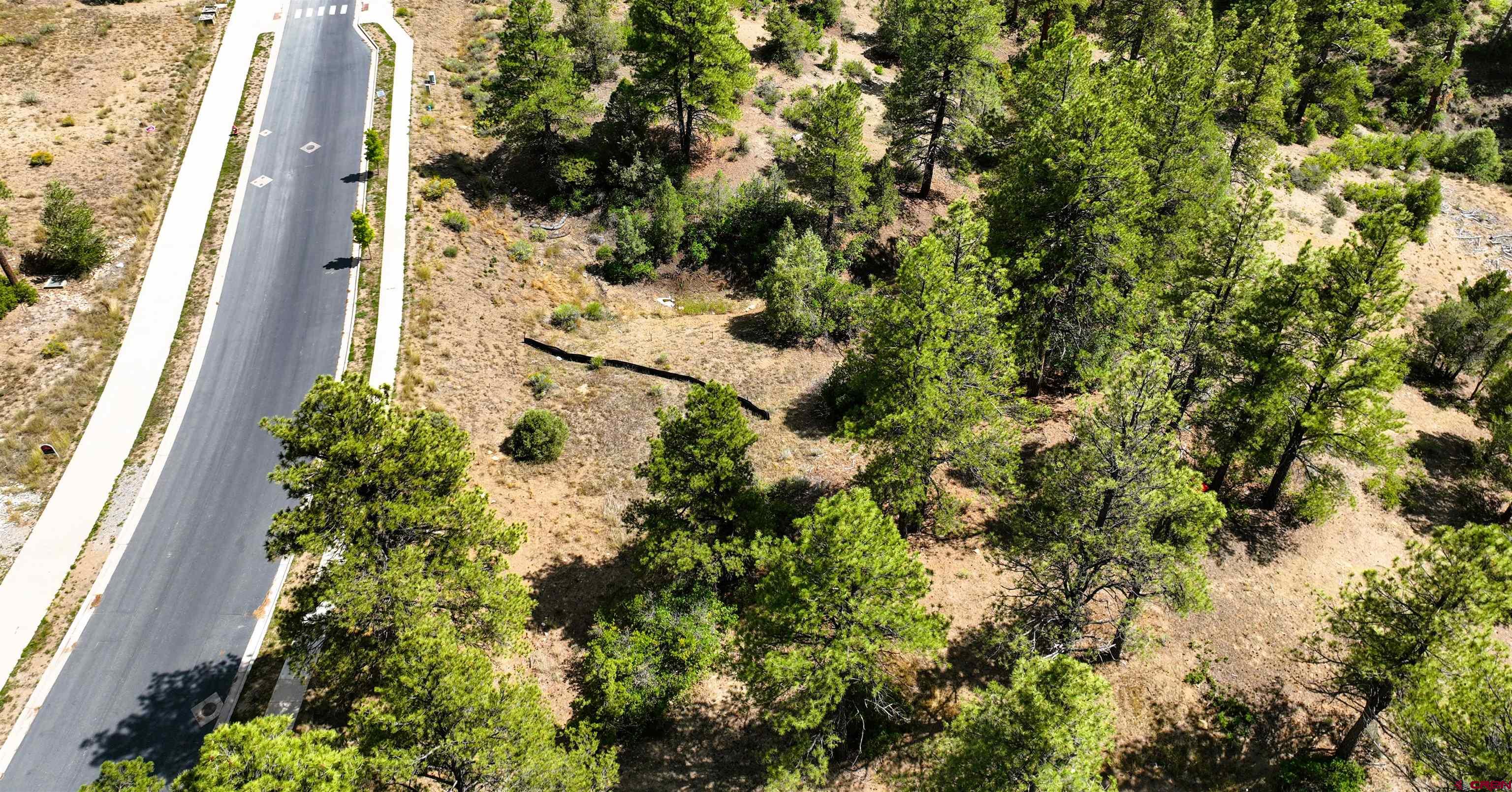 893 Twin Buttes Avenue Durango, CO 81301 - Photo 7 of 20