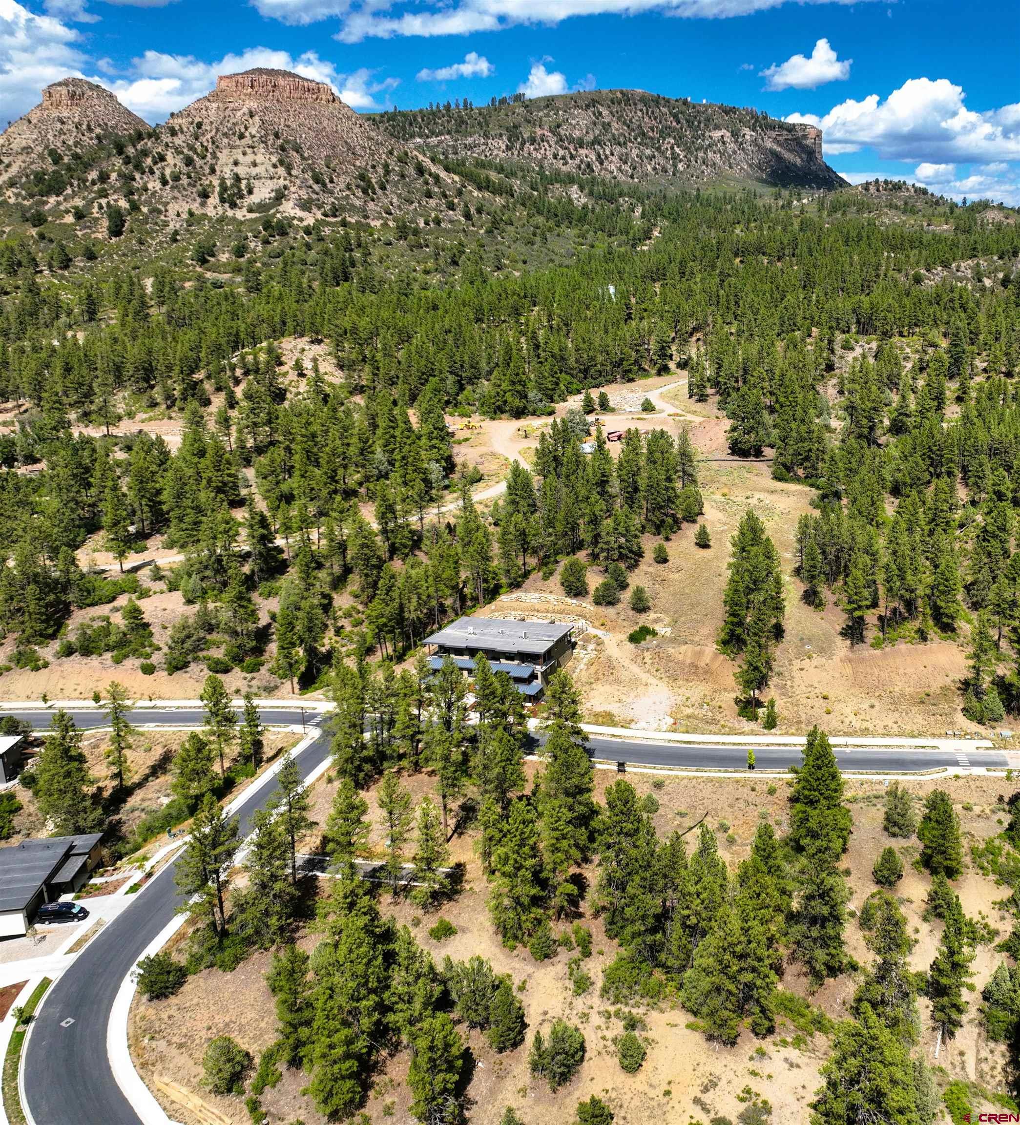 893 Twin Buttes Avenue Durango, CO 81301 - Photo 10 of 20