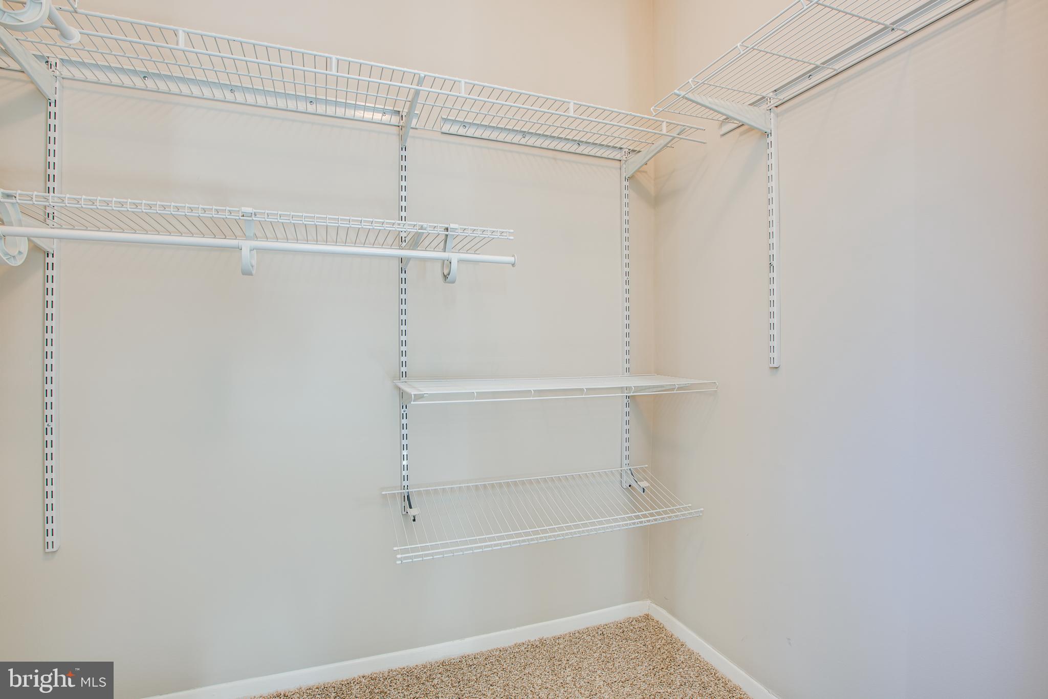 2370 Albot Road Reston, VA 20191 - Photo 22 of 44 Walk-in Closet with Organizer