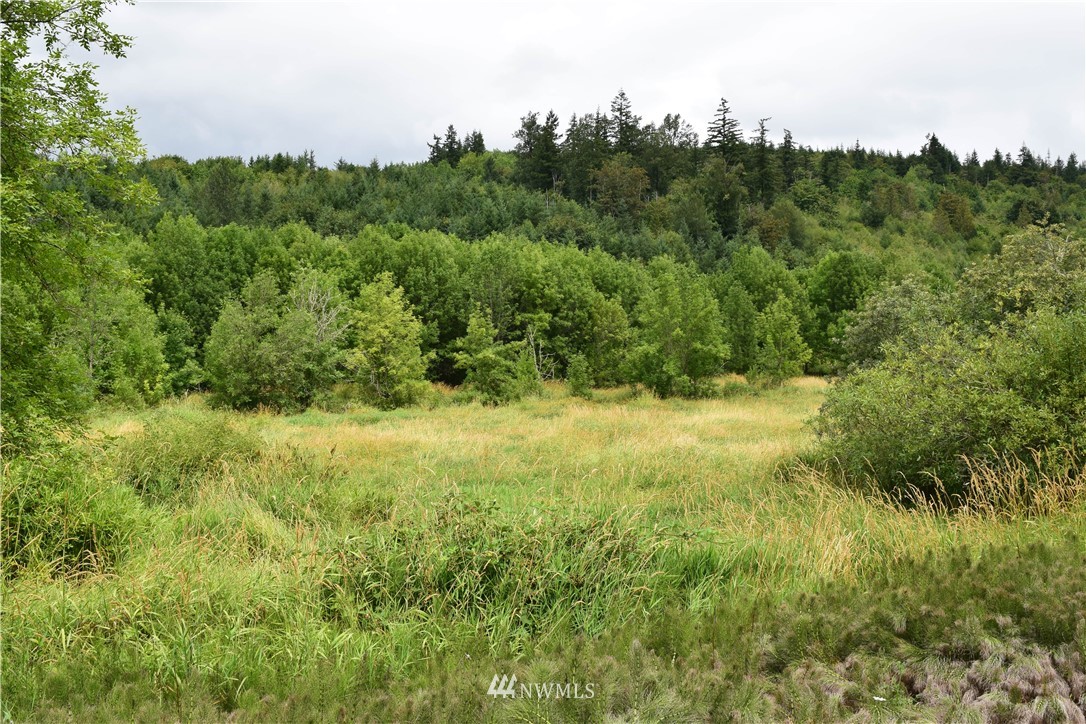 1-xx Coal Creek Road Chehalis, WA 98532 - Photo 1 of 5 Gallery Image 1