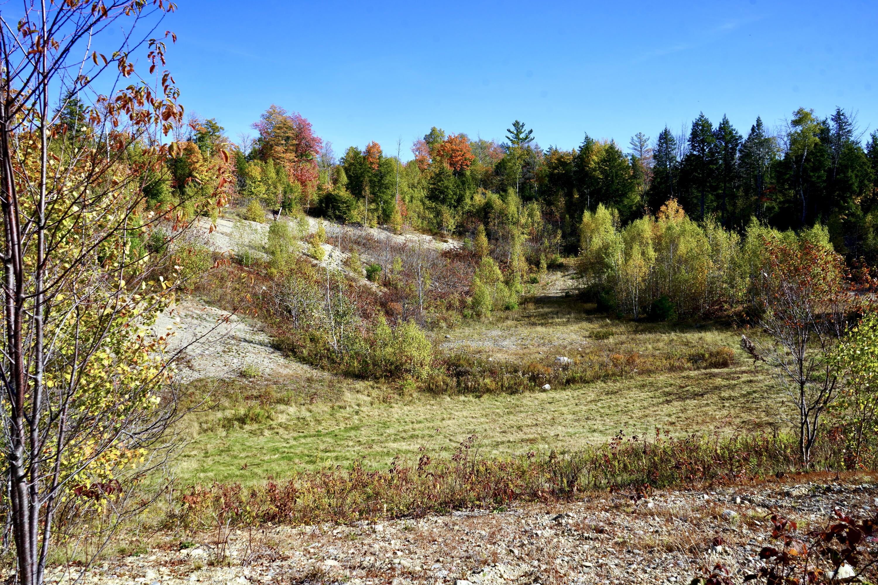 780 Spring Bridge Road Greenbush, ME 04418 - Photo 5 of 45 780 Spring Bridge Road
