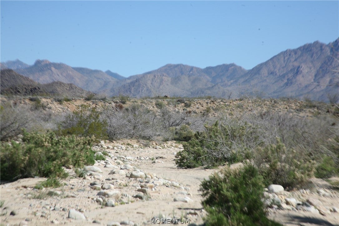 208-24-134 South Cameron Road Yucca, AZ 86438 - Photo 82 of 86 Gallery Image 82