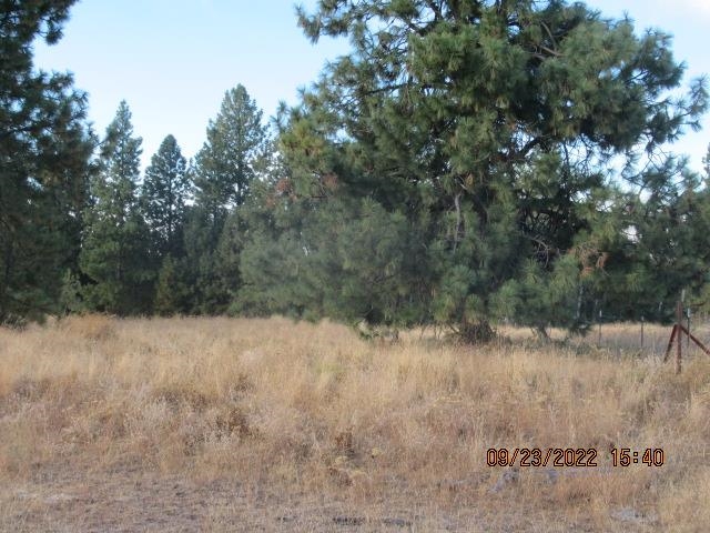 31001-est) South Dover Road Cheney, WA 99004 - Photo 1 of 25