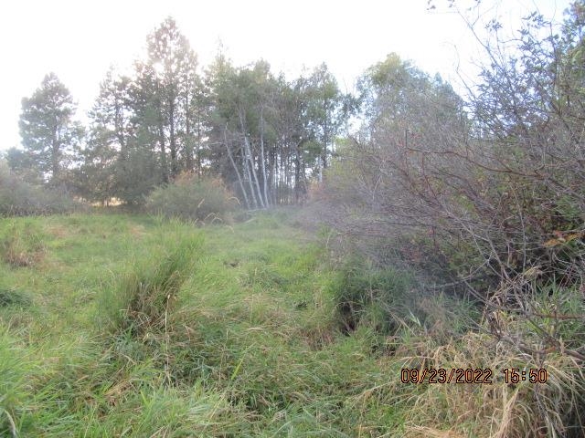 31001-est) South Dover Road Cheney, WA 99004 - Photo 11 of 25