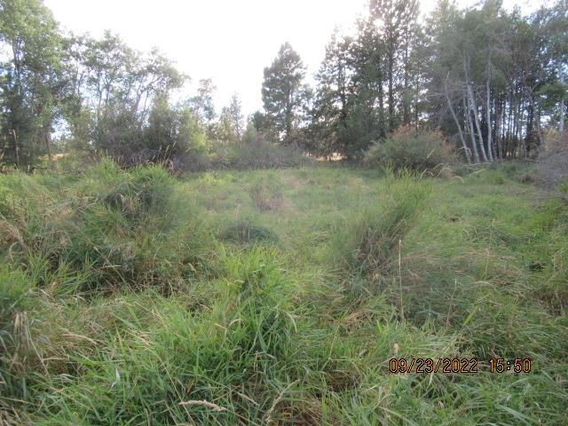 31001-est) South Dover Road Cheney, WA 99004 - Photo 12 of 25