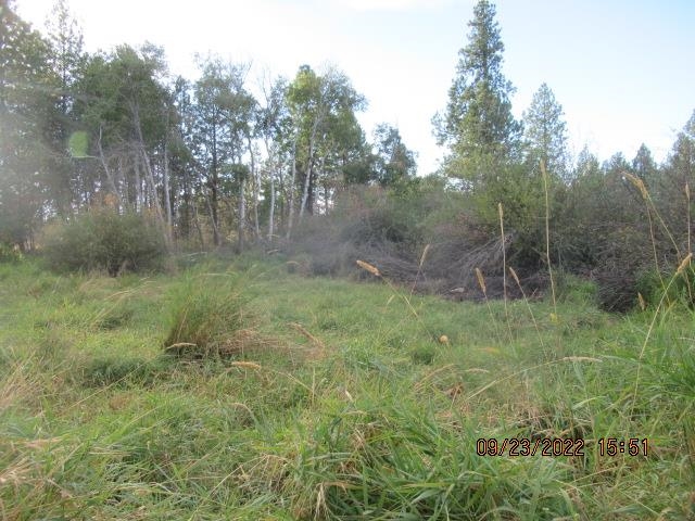 31001-est) South Dover Road Cheney, WA 99004 - Photo 13 of 25