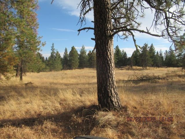 31001-est) South Dover Road Cheney, WA 99004 - Photo 14 of 25