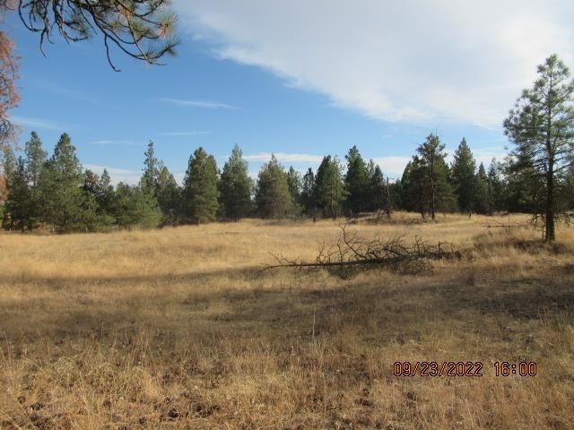 31001-est) South Dover Road Cheney, WA 99004 - Photo 15 of 25