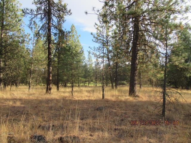 31001-est) South Dover Road Cheney, WA 99004 - Photo 16 of 25