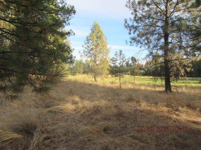 31001-est) South Dover Road Cheney, WA 99004 - Photo 18 of 25