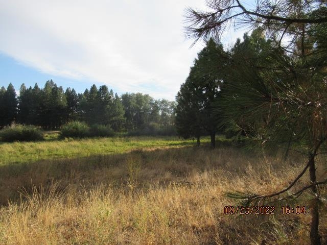 31001-est) South Dover Road Cheney, WA 99004 - Photo 19 of 25