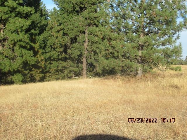31001-est) South Dover Road Cheney, WA 99004 - Photo 23 of 25