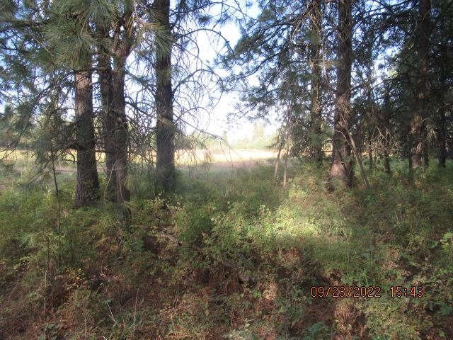 31001-est) South Dover Road Cheney, WA 99004 - Photo 3 of 25