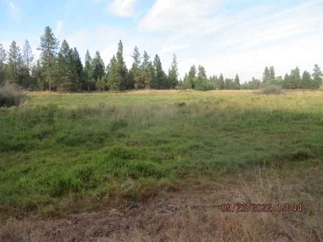 31001-est) South Dover Road Cheney, WA 99004 - Photo 5 of 25