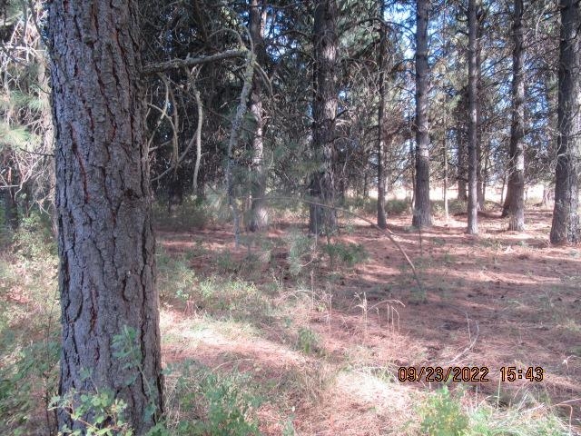 31001-est) South Dover Road Cheney, WA 99004 - Photo 6 of 25