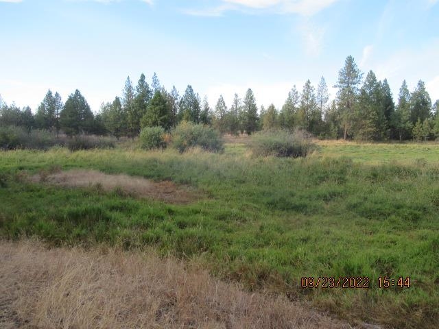 31001-est) South Dover Road Cheney, WA 99004 - Photo 7 of 25
