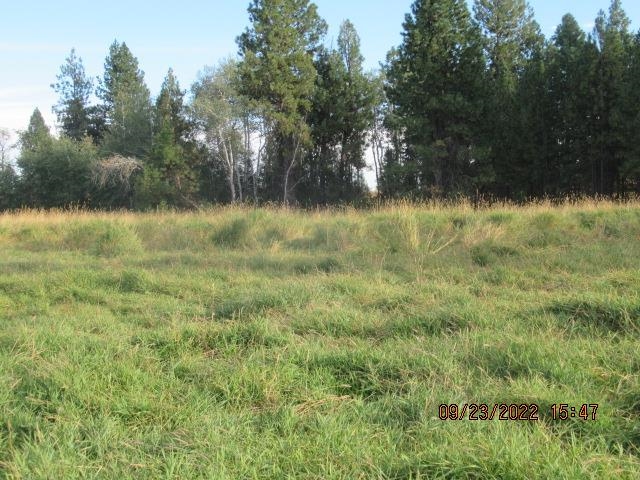 31001-est) South Dover Road Cheney, WA 99004 - Photo 8 of 25