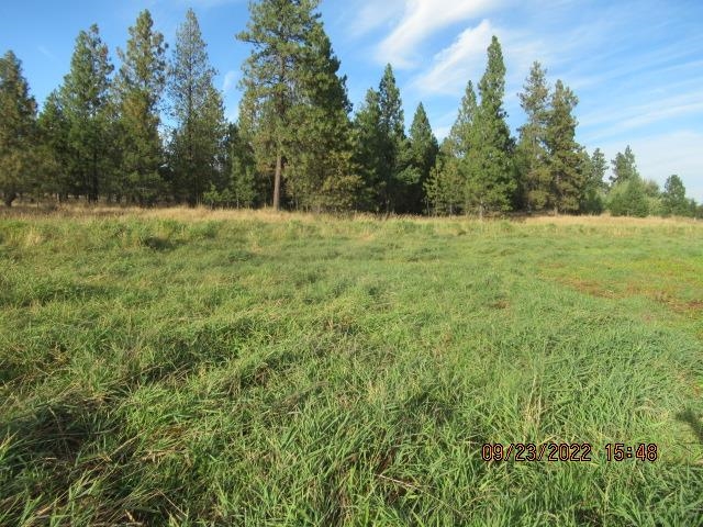 31001-est) South Dover Road Cheney, WA 99004 - Photo 9 of 25