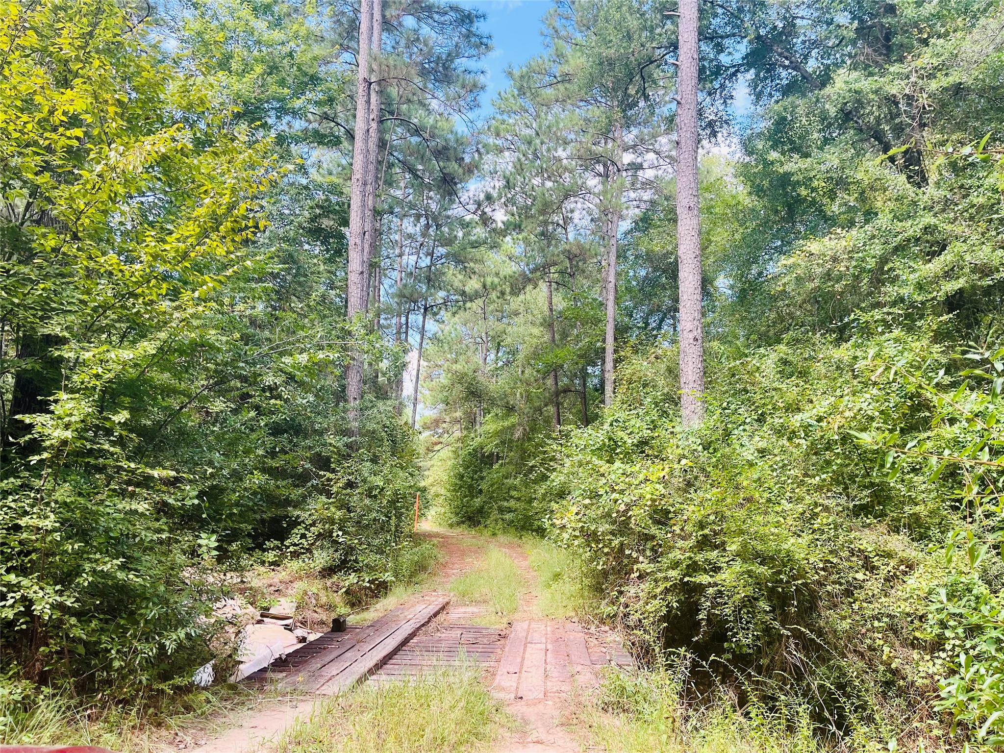 0 9 Bridge Road Corrigan, TX 75939 - Photo 14 of 22