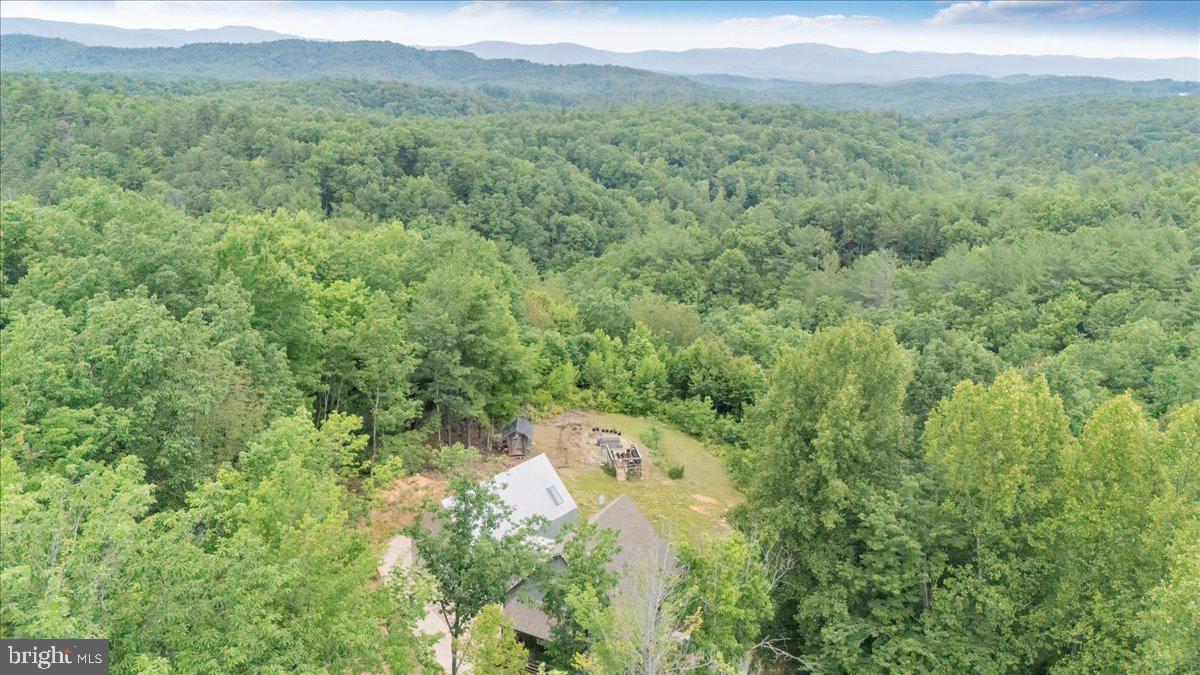 722 Foley Ridge Road Stuart, VA 24171 - Photo 64 of 67 Serene retreat amidst lush greenery.