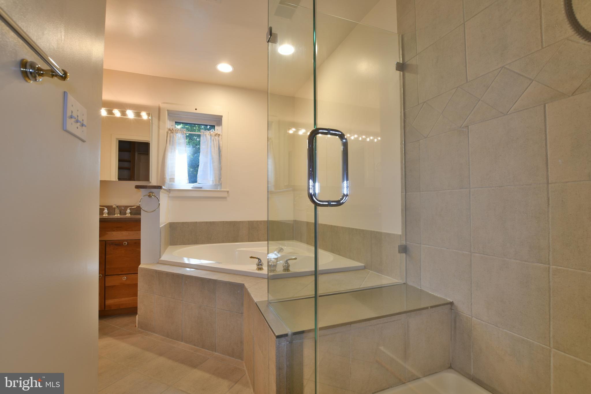 11615 Clubhouse Court Reston, VA 20190 - Photo 23 of 39 Gorgeous jacuzzi with a view