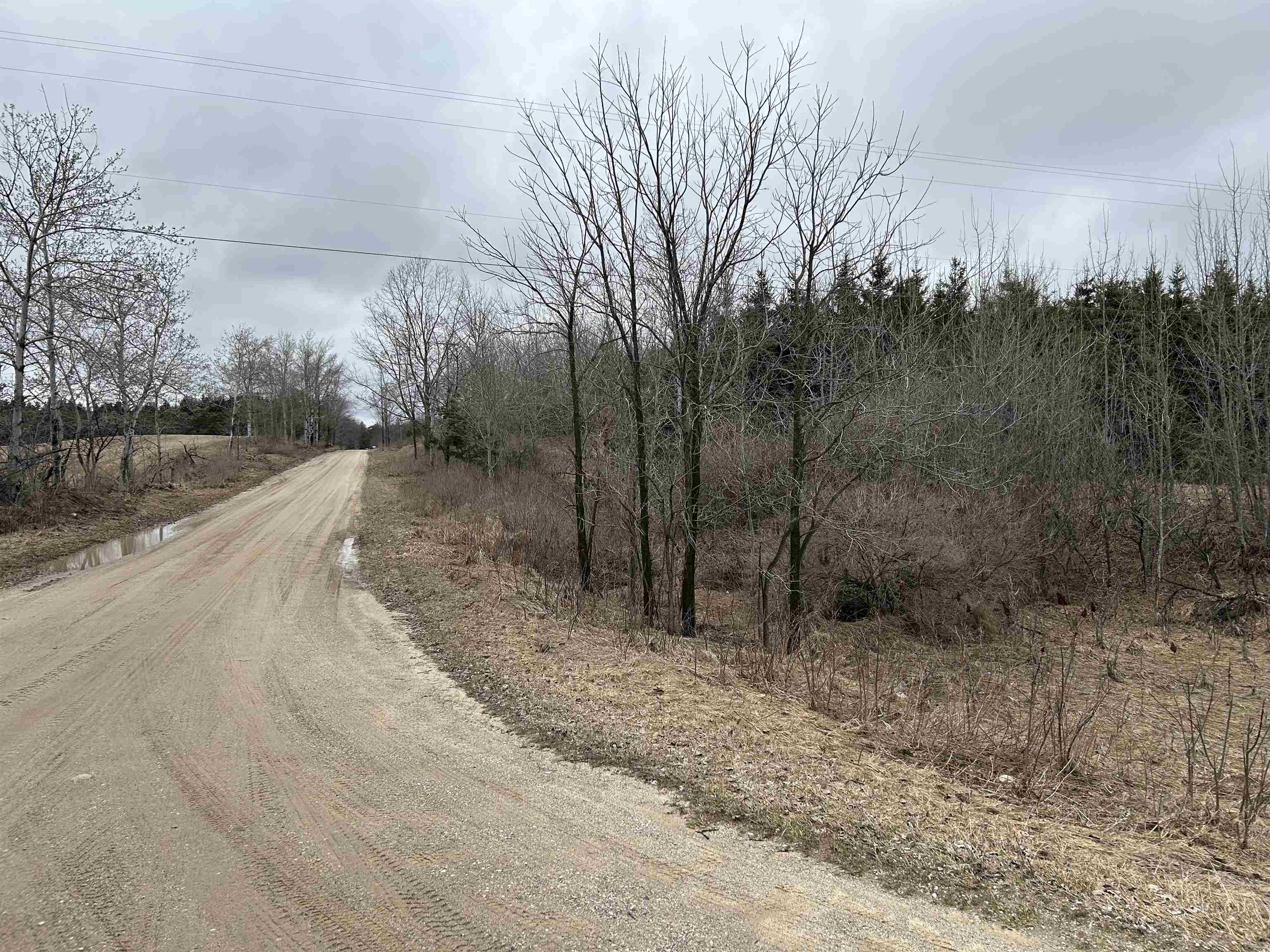0 West Geers Road McBain, MI 49657 - Photo 2 of 5