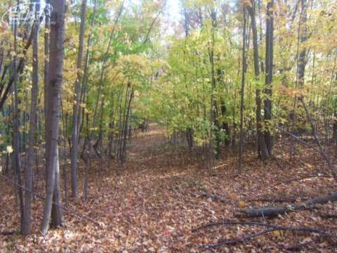 8030 Perry Road Grand Blanc, MI 48439 - Photo 19 of 36 20447355-18.JPG