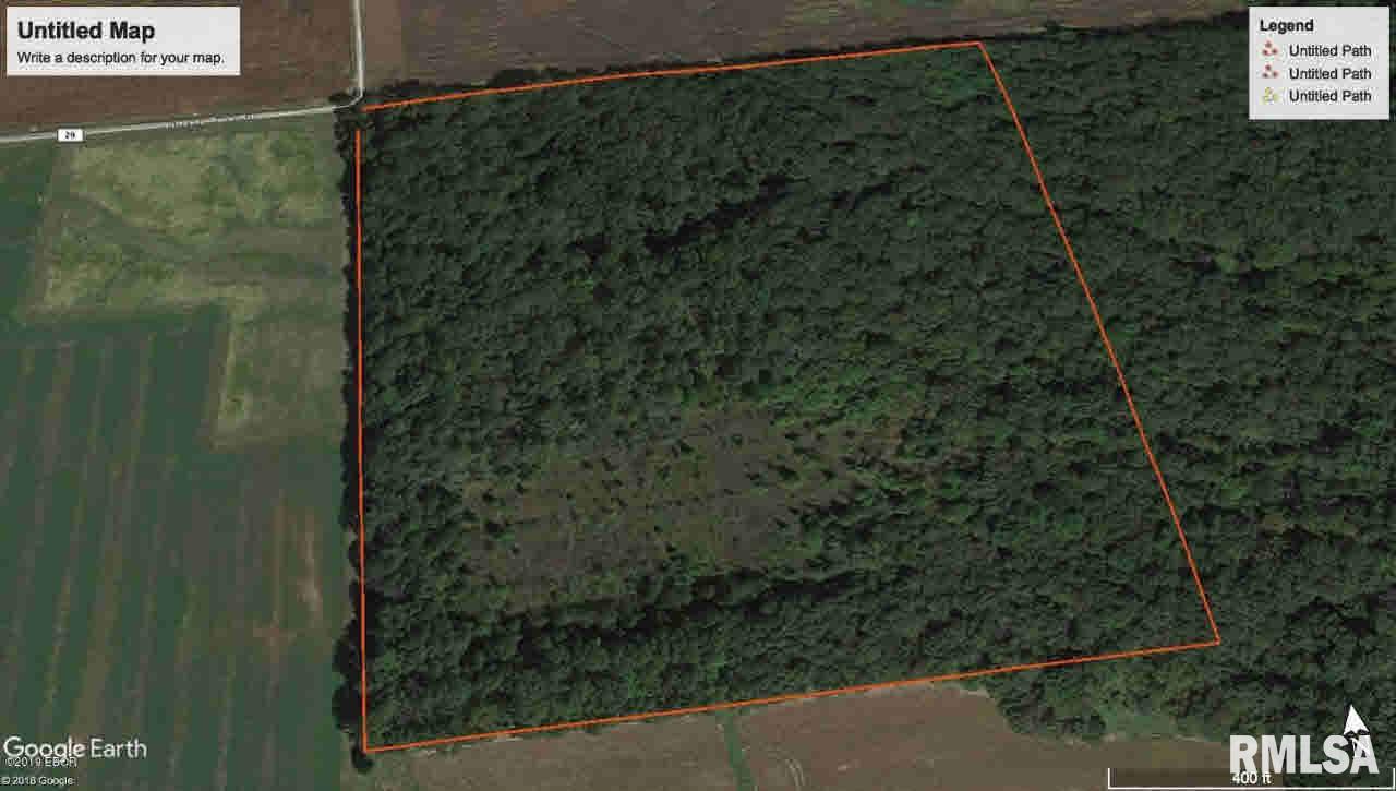 0 Liberty Tree Road Iuka, IL 62849 - Photo 3 of 3