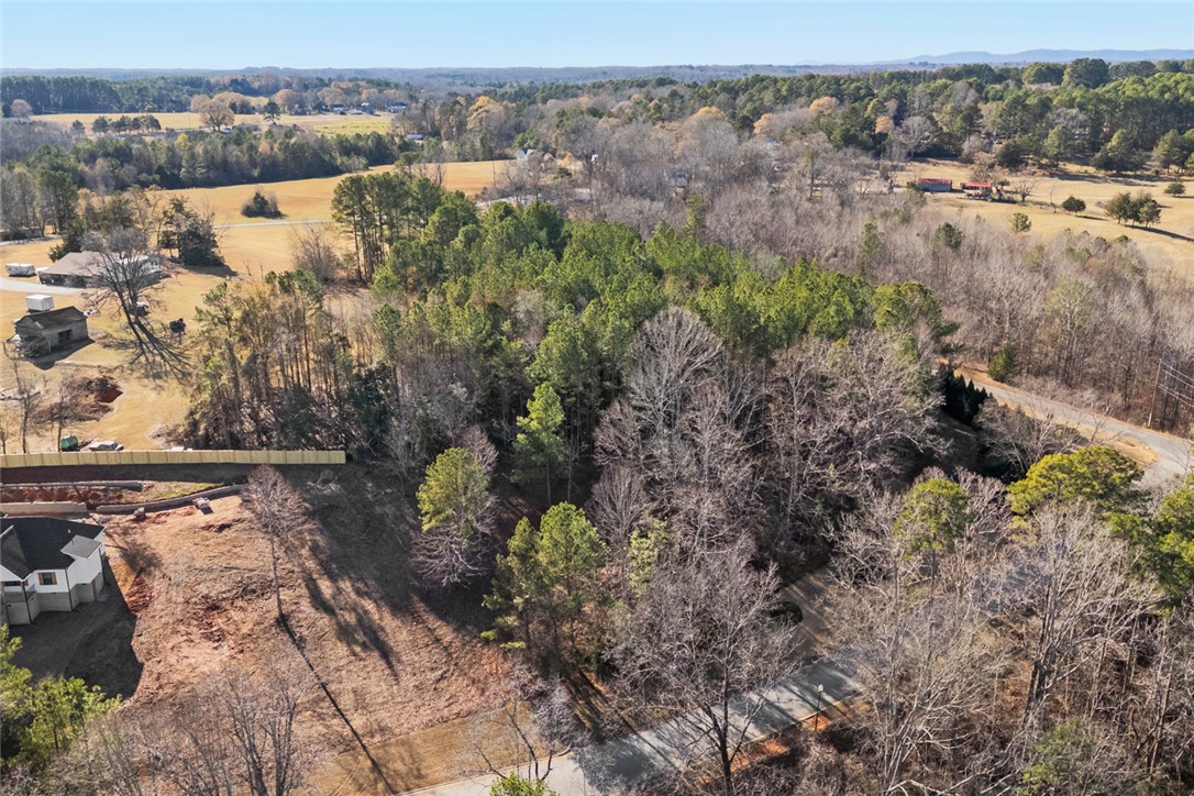 Lot 1 Stardust Lane Seneca, SC 29672 - Photo 14 of 18