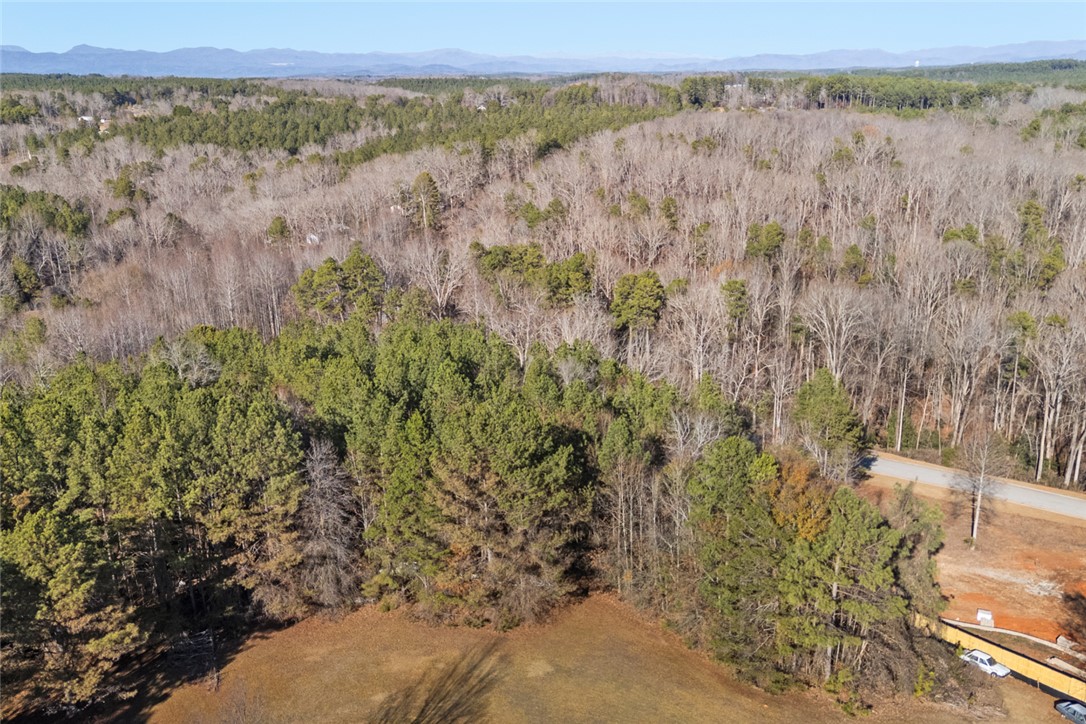 Lot 1 Stardust Lane Seneca, SC 29672 - Photo 16 of 18