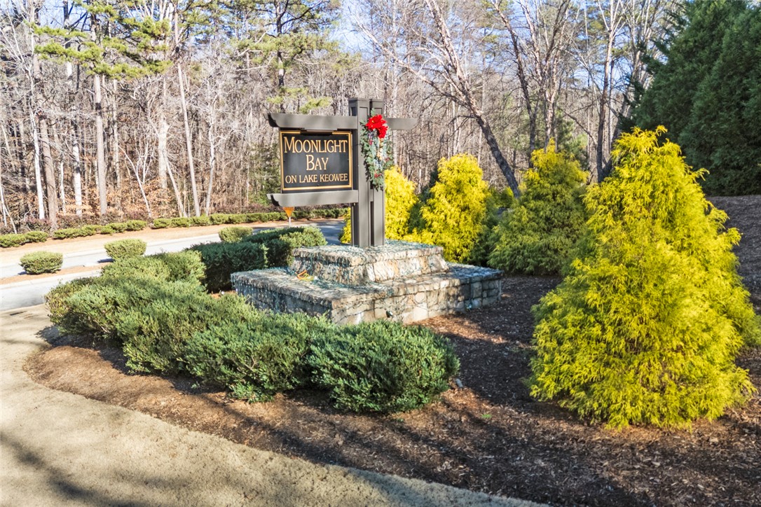 Lot 1 Stardust Lane Seneca, SC 29672 - Photo 2 of 18