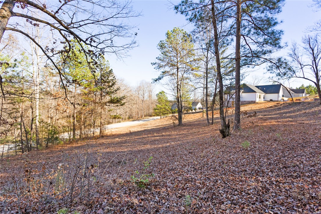 Lot 1 Stardust Lane Seneca, SC 29672 - Photo 6 of 18