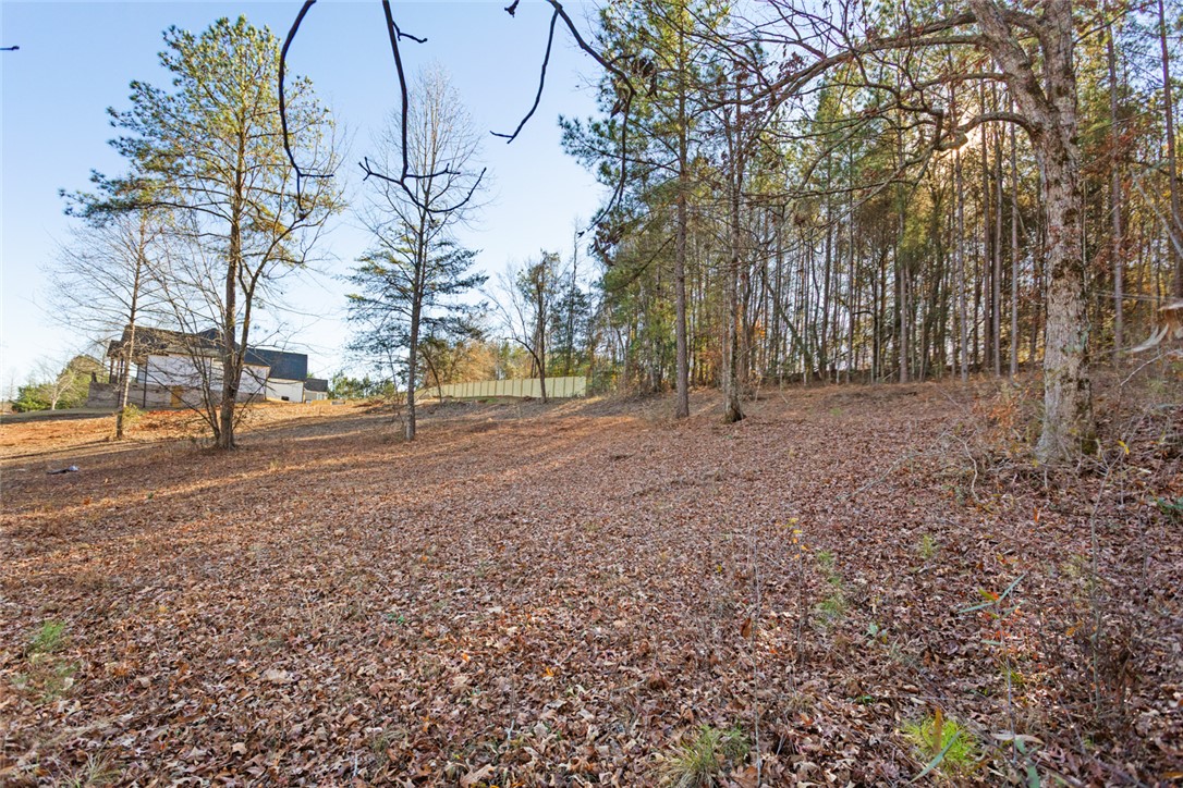 Lot 1 Stardust Lane Seneca, SC 29672 - Photo 7 of 18