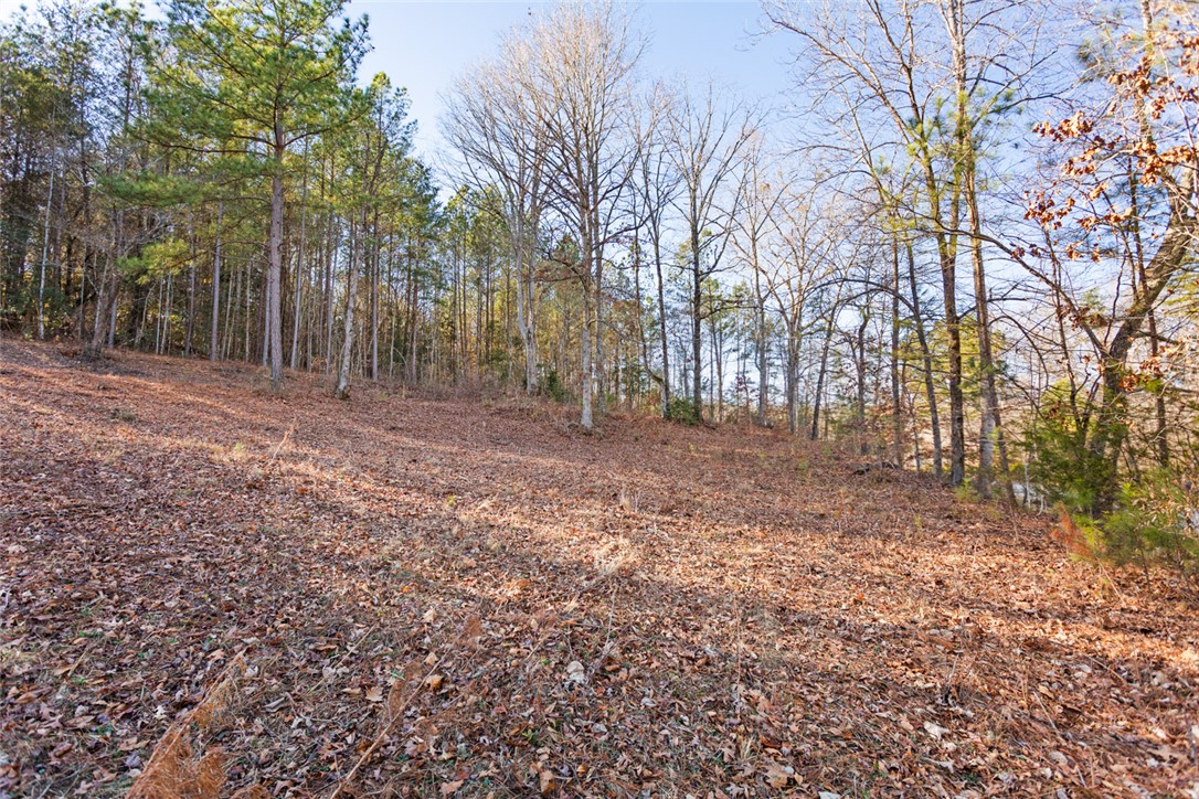 Lot 1 Stardust Lane Seneca, SC 29672 - Photo 8 of 18