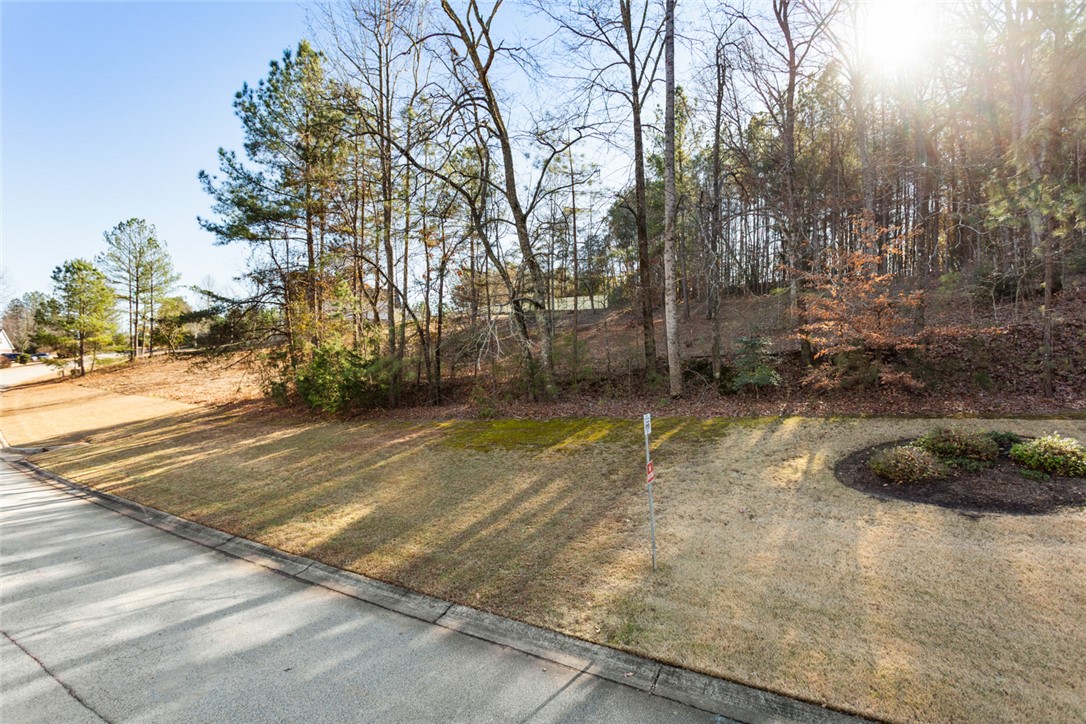 Lot 1 Stardust Lane Seneca, SC 29672 - Photo 10 of 18
