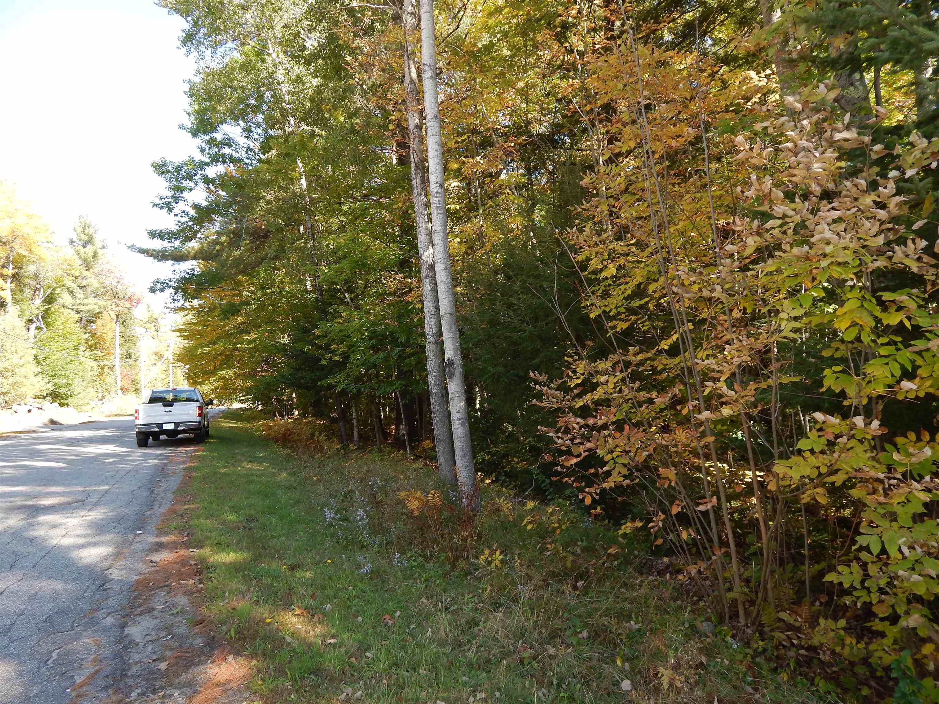 Lot #1 Whipple Road Newport, NH 03773 - Photo 1 of 10 Gallery Image 1
