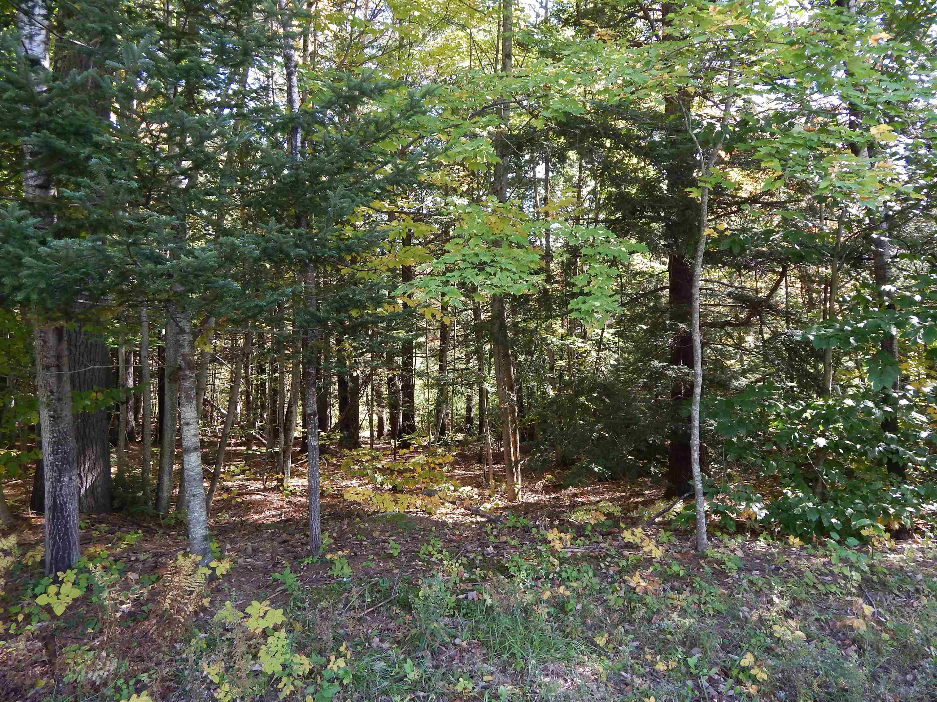 Lot #1 Whipple Road Newport, NH 03773 - Photo 4 of 10 Gallery Image 4