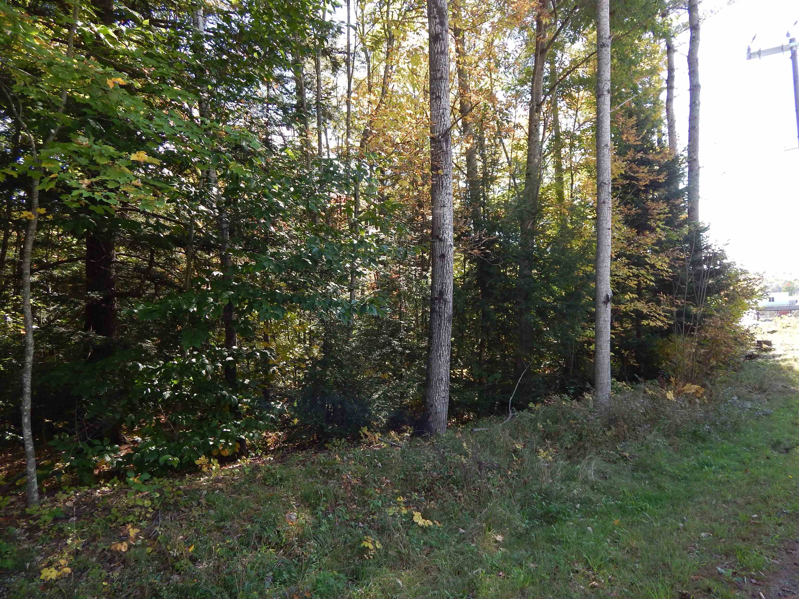 Lot #1 Whipple Road Newport, NH 03773 - Photo 5 of 10 Gallery Image 5