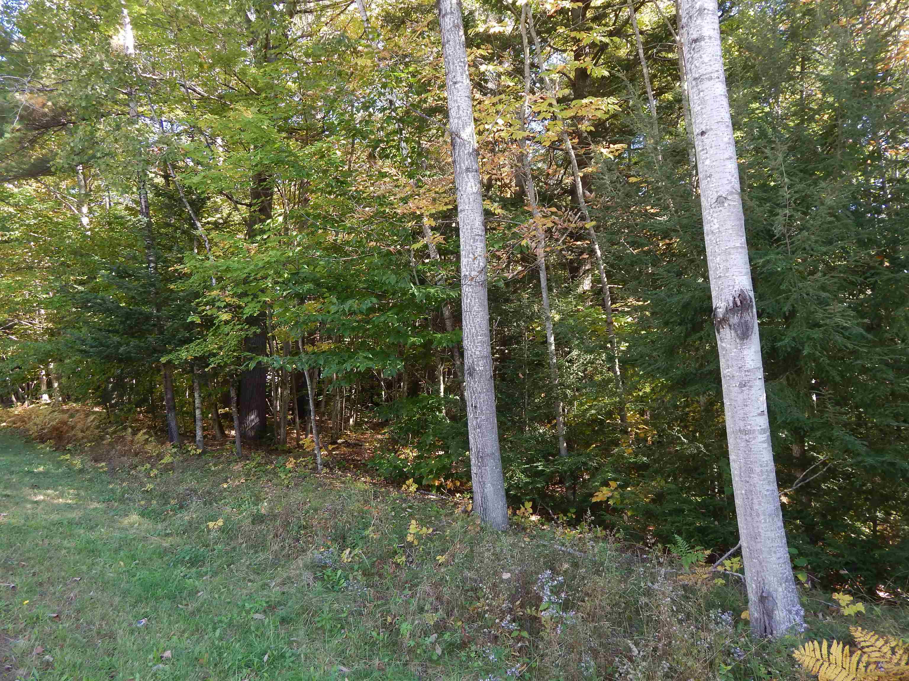Lot #1 Whipple Road Newport, NH 03773 - Photo 8 of 10 Gallery Image 8