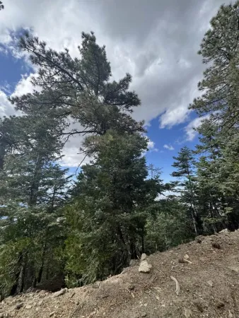 $790,000 | 636 Mountain Ctr Mountain Center, Mountain Center, CA 92561