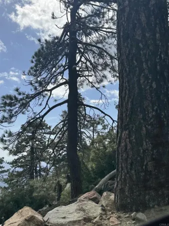 $790,000 | 636 Mountain Ctr Mountain Center, Mountain Center, CA 92561