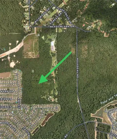 $1,450,000 | 48.18-acres Meadowlark Drive, Covington, LA 70433