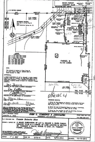 $1,450,000 | 48.18-acres Meadowlark Drive, Covington, LA 70433